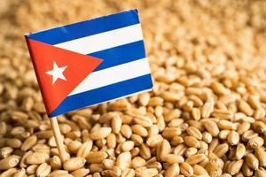 granos de trigo con bandera cubana, exportación comercial y concepto económico.