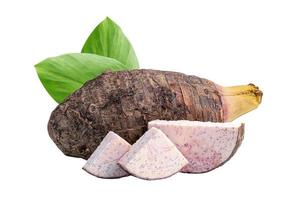 Taro or Colocasia esculenta and slice isolated on white background with clipping path. photo