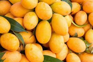 Fresh ripe Marian Plum, Mayongchid, Maprang, Plum Mango, tropical Thai fruit photo