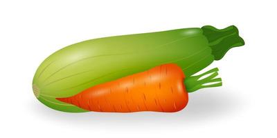 zanahorias y calabacines frescos. verduras aisladas sobre fondo blanco. día vegano. comida vegetariana. cosecha de hortalizas. ilustración vectorial vector