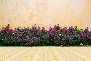 Empty wood floor with beautiful flowers with concrete wall background photo