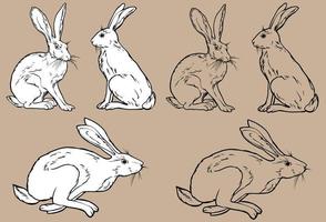 Three bunnies in different poses. vector black and white line drawing. For your design and coloring books. Isolated drawing. Hand-drawn.