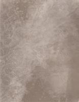 Grunge texture of Venetian plaster, isolated on white background. Vector illustration. Image tracing.