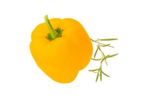 Yellow pepper on white photo