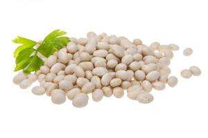 White beans on white photo