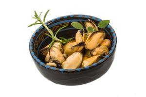 Marinated mussels on white photo