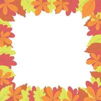 Autumn leaves frame, vector. Frame with colorful autumn leaves on a white background. vector