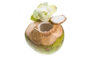 Coconut on white photo