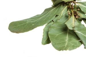 Aromatic Bay leaves