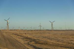 Wind farm view photo