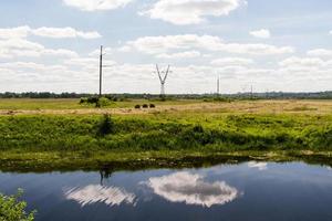 paisaje de río de verano europeo foto