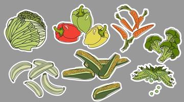 set of vegetables stickers vector