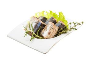 Pacific saury in a bowl on white background photo