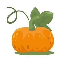 calabaza naranja con hoja en estilo plano. cosecha de otoño aislada en un fondo blanco. vector
