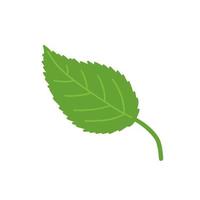 Hand drawn vector green leaf isolated