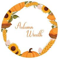 Autumn wreath with wheat, pumpkin and sunflower with space for text. Vector illustration isolated white background.