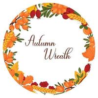 Autumn wreath with wheat, sea buckthorn, autumn leaves with space for text. Vector illustration isolated white background.