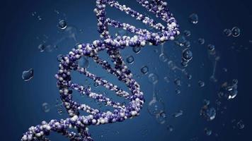 Estructura de ADN 3d o cromosoma de hélice azul, formación científica tecnológica. Animación 3D video