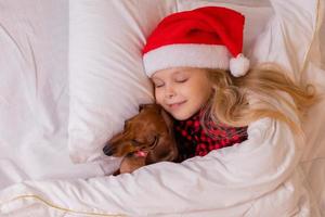 little girl sleeps in bed with a dachshund dog for Christmas photo