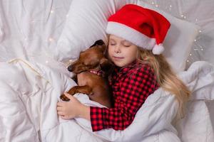 little girl sleeps in bed with a dachshund dog for Christmas photo