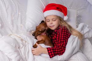 little girl sleeps in bed with a dachshund dog for Christmas photo