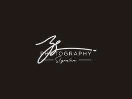 Letter ZS Signature Logo Template Vector