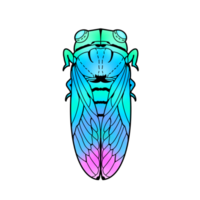 The colorful cicada png
