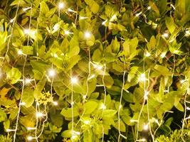 Bokeh backgrounds are bursting with color and glamor like a celebration. Suitable for advertising background. photo