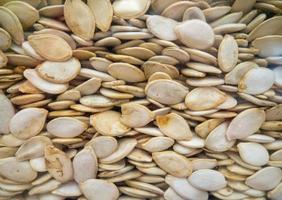 Mountains of pumpkin seeds. Healthy diet. On the counter of the store. photo