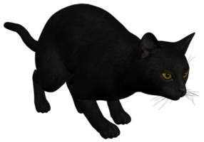 katt svart transparent bakgrund png