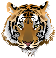 tête de tigre fond transparent png