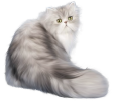 fundo transparente de gato png