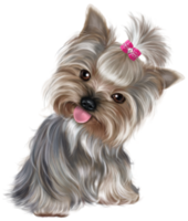 Cute Puppy transparent background png