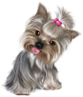 lindo cachorro fondo transparente png