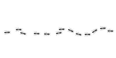 patrón de rastro de hormigas. ruta de hormigas aislada en fondo blanco. ilustración vectorial vector