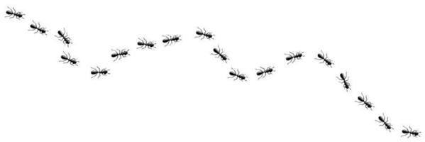 Ants marching in trail. Ant path isolated in white background. Vector illustration