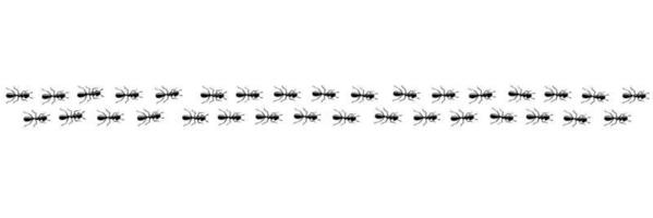 Ants marching in trail. Ant path isolated in white background. Vector illustration