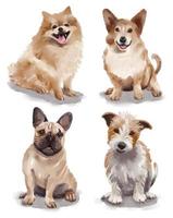 Watercolor illustration with different breeds of dogs - pomeranian, welsh corgi, french bulldog, russell terrier vector