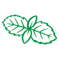 feuilles de menthe illustration dessinée à la main pour un élément de conception d'aliments sains. thème coloré de légumes et de fruits png