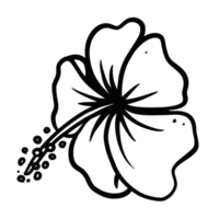 hibiskus blomma illustration hand dragen för design element. png