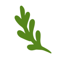 Simple leaf illustration for design element and ornament png