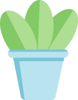 cactus dans un pot bleu, élément de décoration png