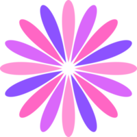 Flower with colorful pink purple style, element for decoration png