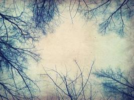Retro paper with tree branches photo