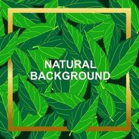 natural background with leaves suitable for promoting your product vector