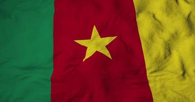 Waving flag of Cameroon in 3D rendering video