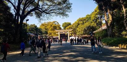 japón en abril de 2019. turistas caminando en la entrada del bosque de la ciudad de harajuku que se dirigen al santuario de meiji. foto