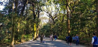 japón en abril de 2019. turistas caminando en la entrada del bosque de la ciudad de harajuku que se dirigen al santuario de meiji. foto