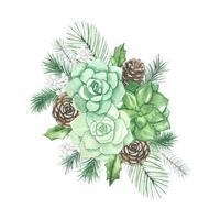 Bouquet with , succulents, spruce branches , watercolor vector