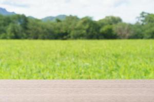 Wood plank on natural green grass field photo